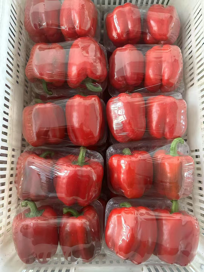 新鲜蔬菜